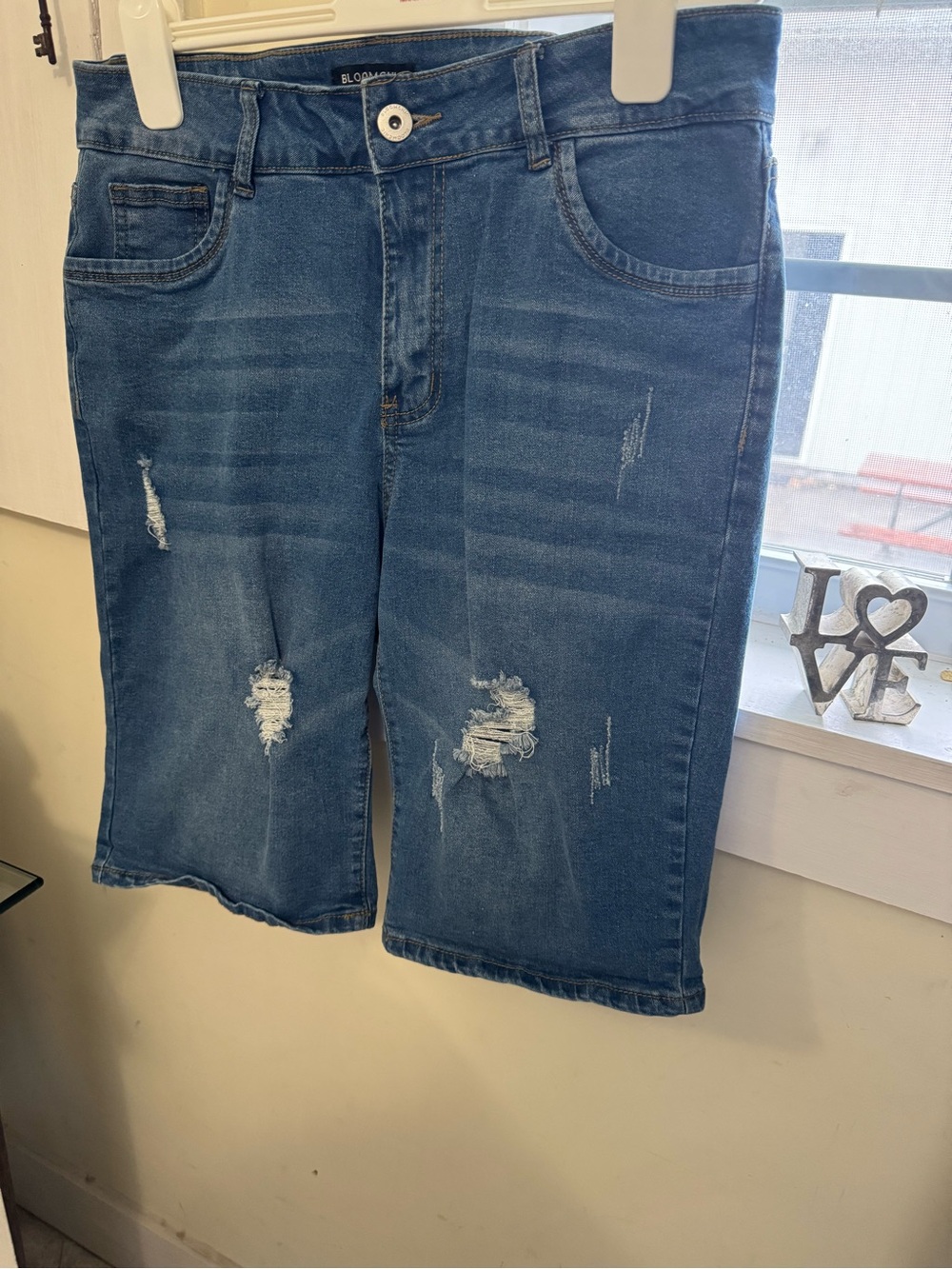 BloomChic Light Blue Denim Shorts with Zip Fly